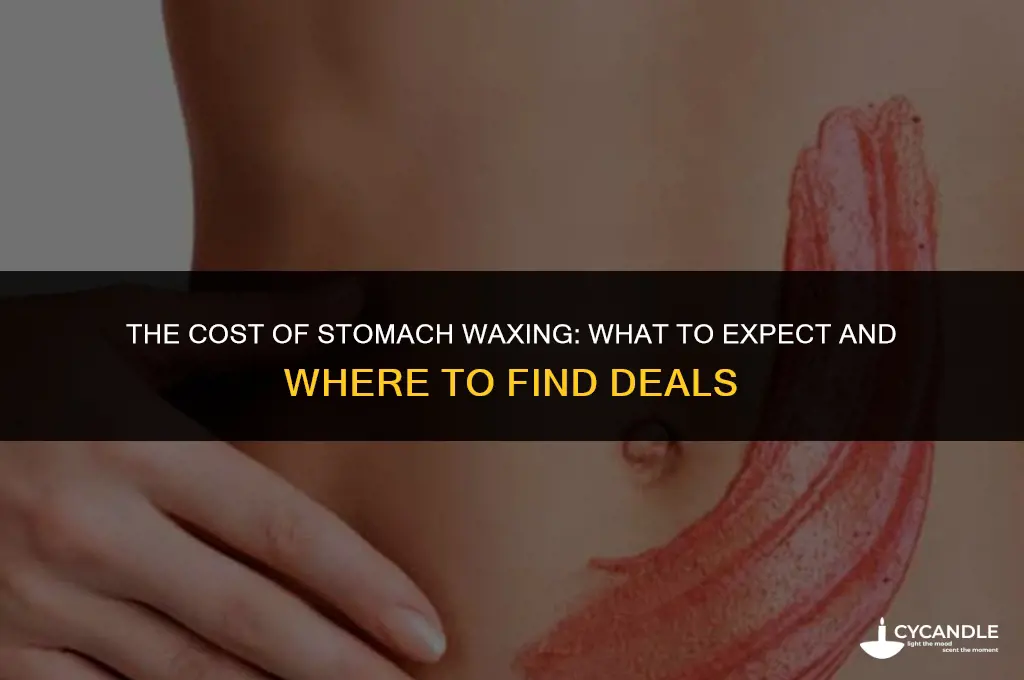 how much does waxing your stomach cost