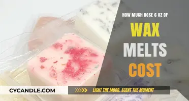 The Cost Breakdown: Understanding the Price of 6 Oz Wax Melts