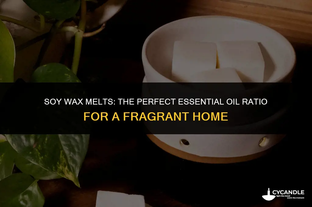 how much essential oil for soy wax melts