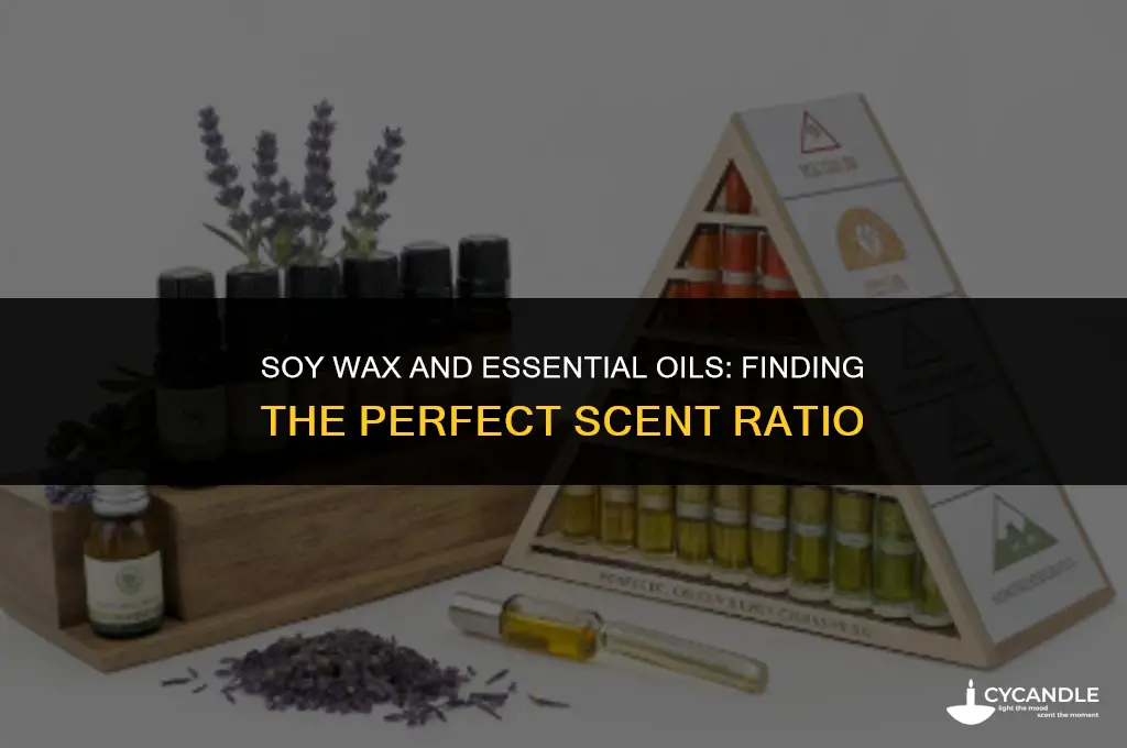 how much essential oil to use in soy wax