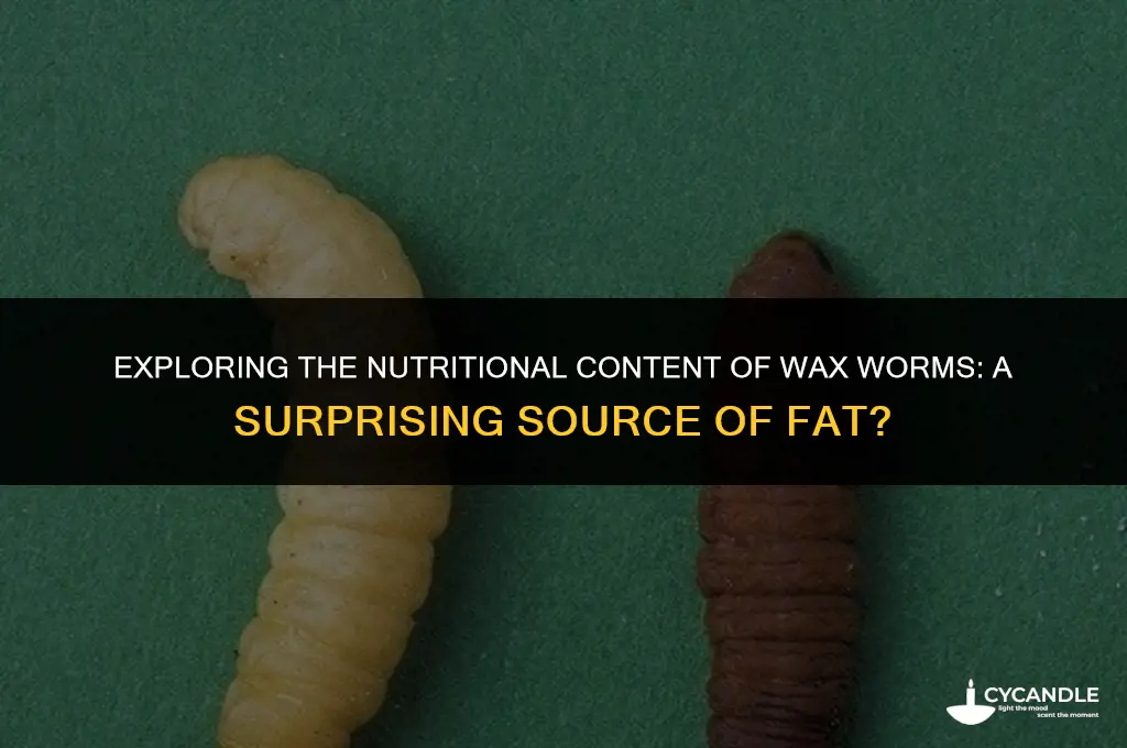 how much fat is in a wax worm