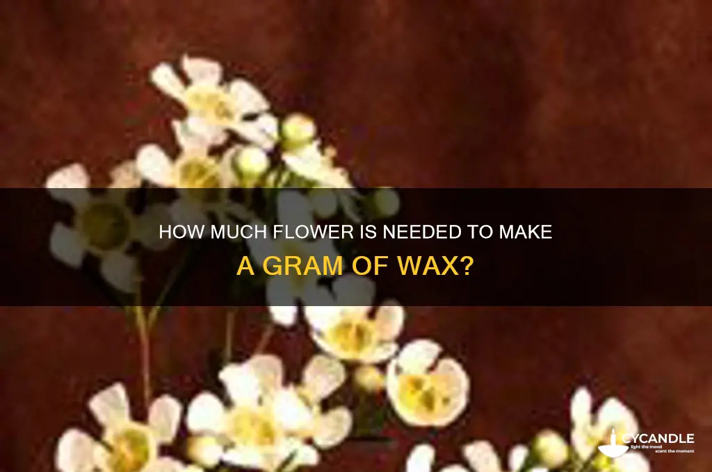 how much flower makes a gram of wax
