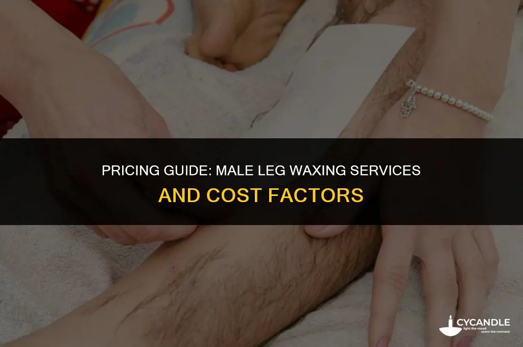 how much for a leg wax male