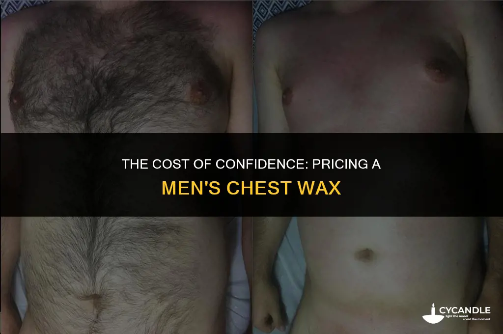 how much for a man chest wax