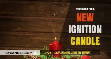 Cost of a New Ignition Candle: What to Expect