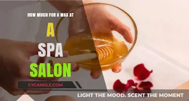 Pampering Essentials: Unveiling the Cost of a Spa Salon Wax