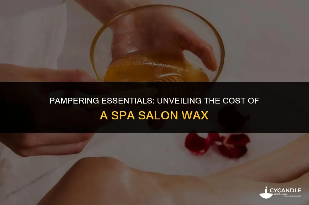 how much for a wax at a spa salon