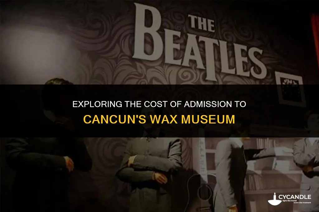 how much for tickets to cancun wax musem
