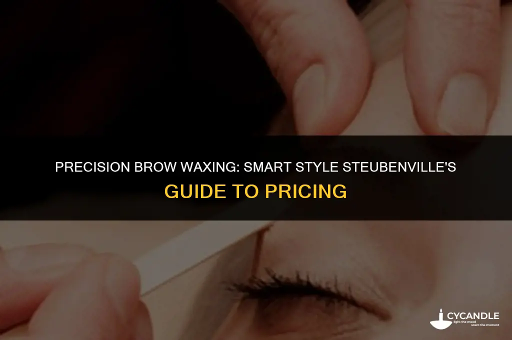 how much for waxing eyebrows- smart style steubenville ohio