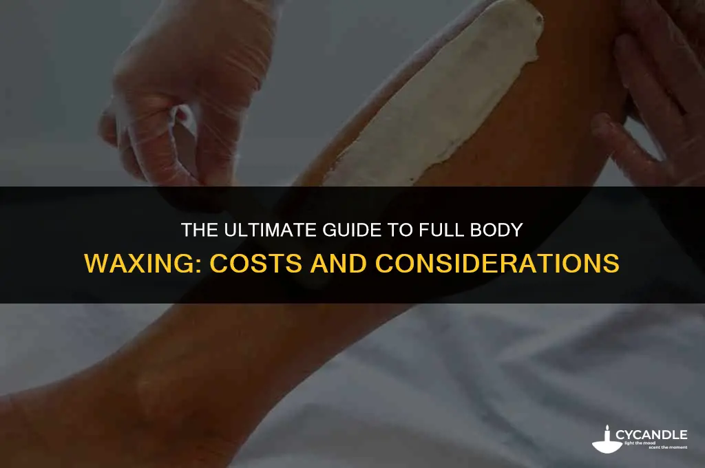 how much full body wax