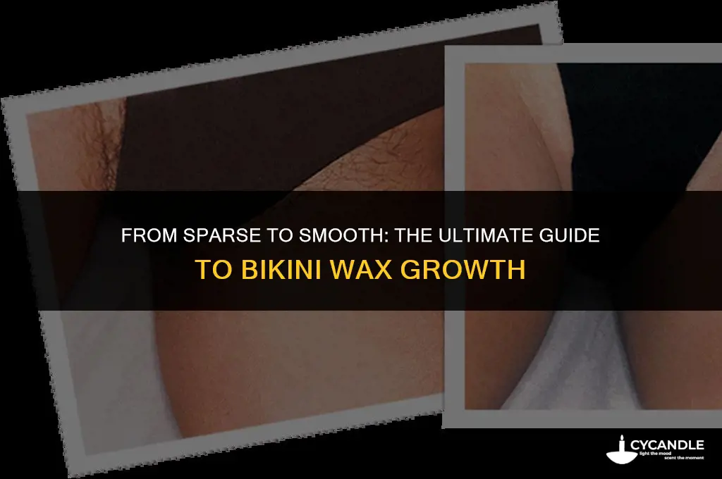 how much growth for a bikini wax