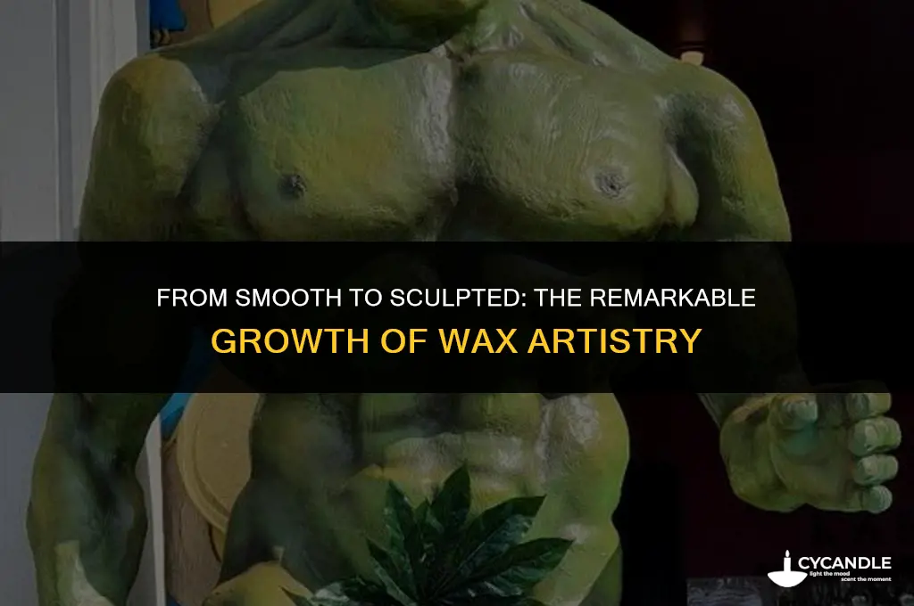 how much growth for a wax