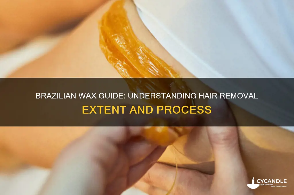 how much hair does a brazilian wax remove