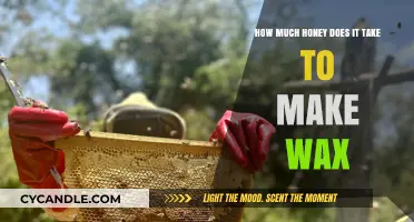Honey to Wax Ratio: Understanding Bees' Wax Production Process