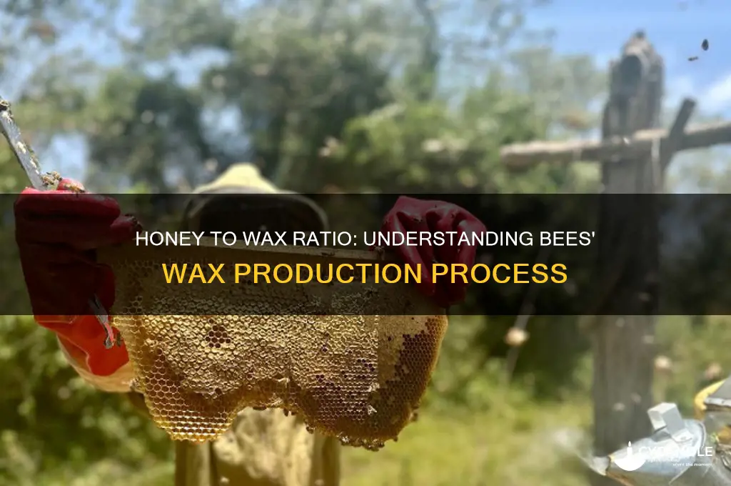 how much honey does it take to make wax