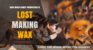 The Hidden Cost of Wax Production: Impact on Honey Yield