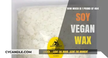 Eco-Friendly Candle Making: Pricing 1 Pound of 464 Soy Vegan Wax