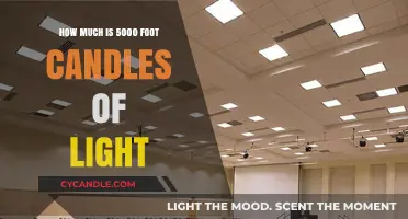 Understanding the Brightness: 5000 Foot Candles of Light Explained