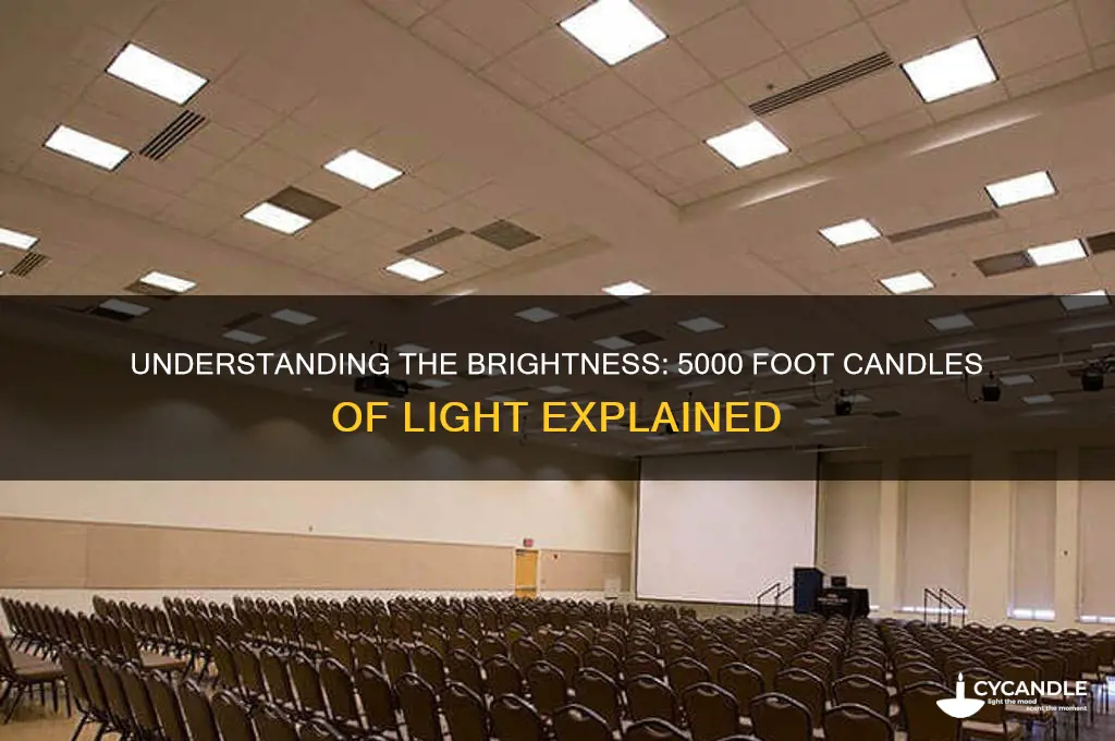 how much is 5000 foot candles of light