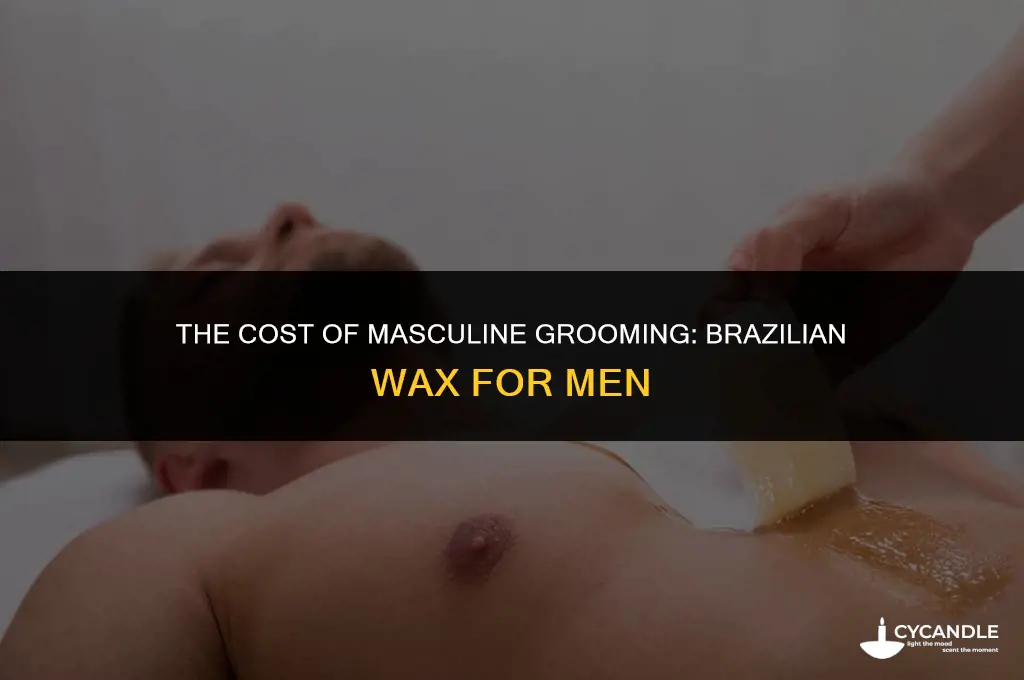 how much is a brazilian wax for men