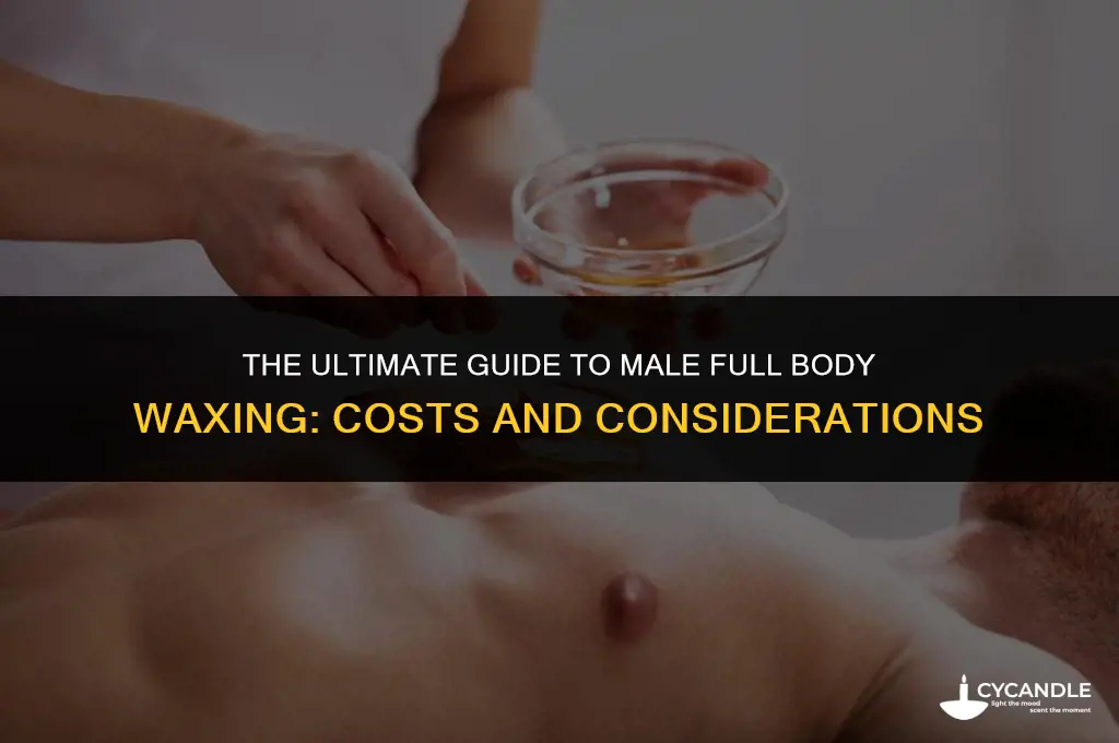 how much is a full body wax for a man