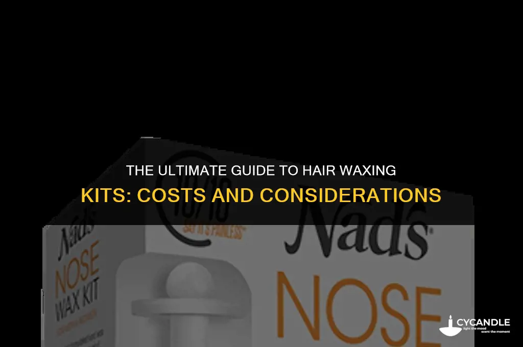 how much is a hiar waxing kit