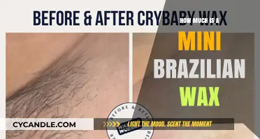 Pricing Guide: Mini Brazilian Wax Services Near You