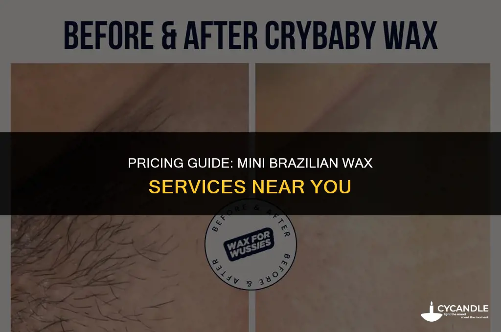 how much is a mini brazilian wax