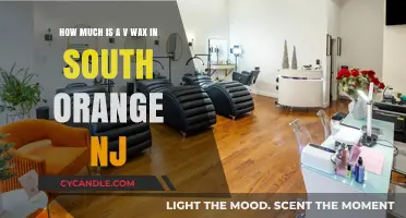 Exploring the Cost of V Wax Services in South Orange, NJ