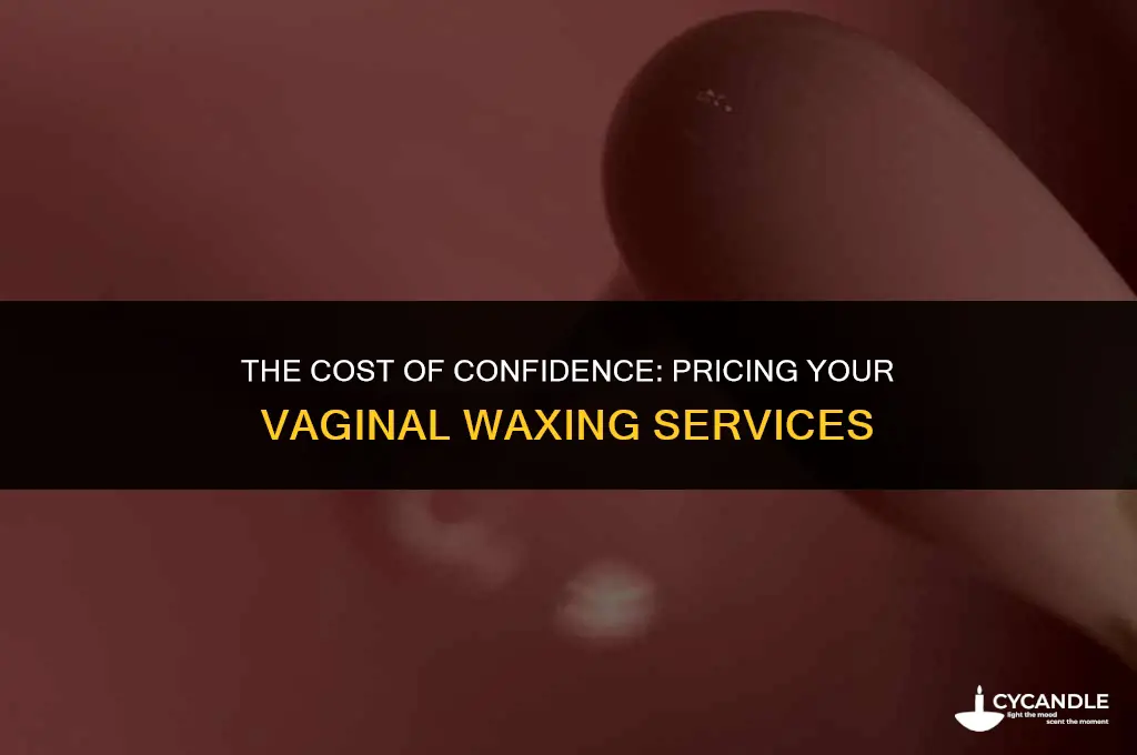 how much is a vag wax