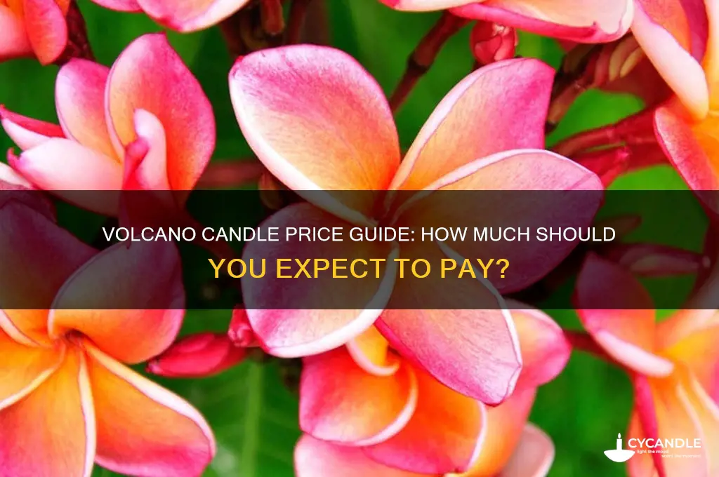 how much is a volcano candle