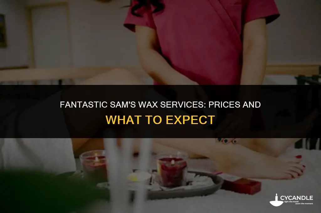 how much is a wax at fantastic sams