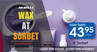 Unveiling the Cost of Pampering: How Much Is a Wax at Sorbet?