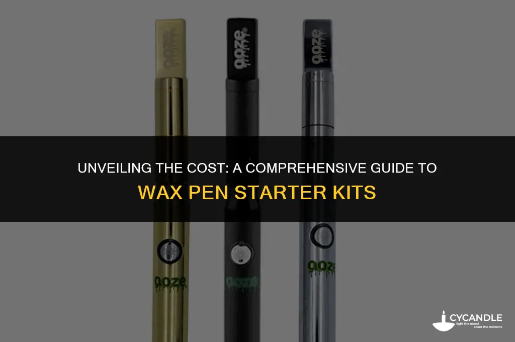 how much is a wax pen starter kit