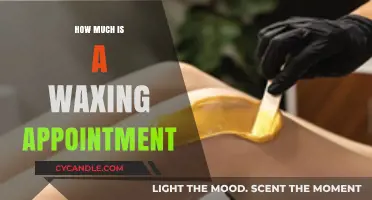 The Cost of Smooth: How Much Does a Waxing Appointment Typically Run?