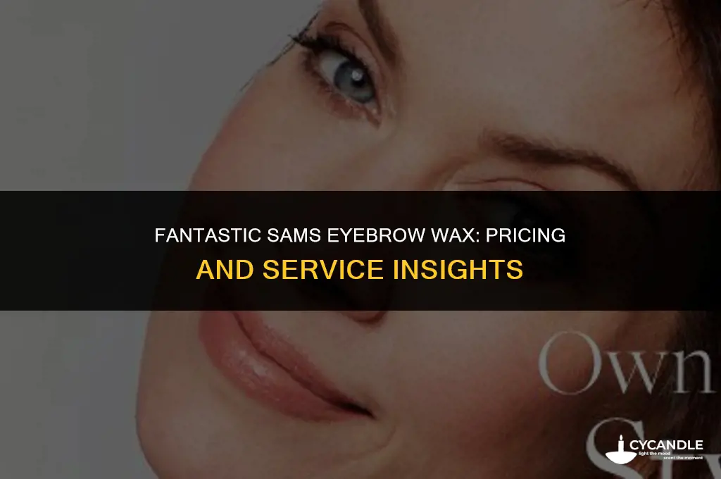 how much is an eyebrow wax at fantastic sams