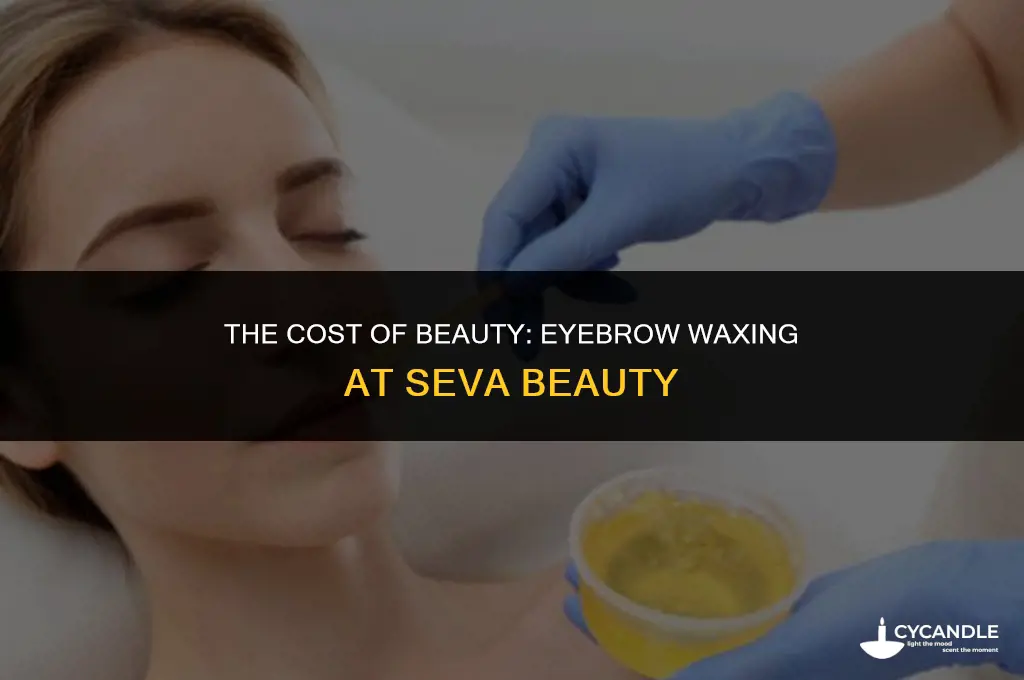 how much is an eyebrow wax at seva beauty