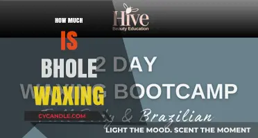 The Cost of Bhole Waxing: A Comprehensive Guide