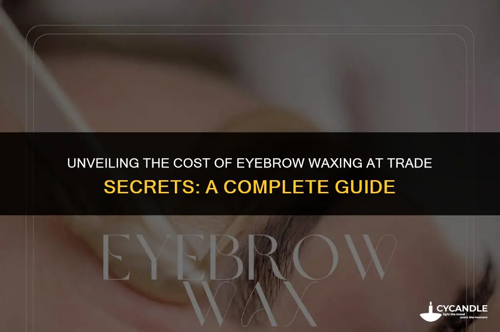how much is eyebrow waxing at trade secrets