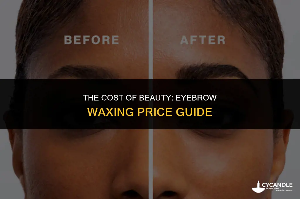 how much is eyebrow waxing
