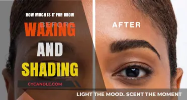 Brow Waxing and Shading: Pricing Guide for Perfect Brows