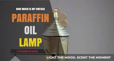 Valuing Your Vintage Paraffin Oil Lamp: A Collector's Pricing Guide