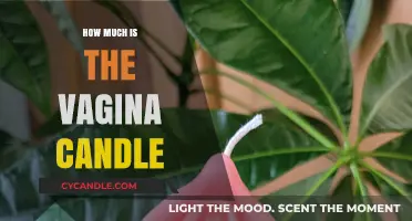 Vagina Candle Price: Unveiling the Cost of This Unique Scented Trend