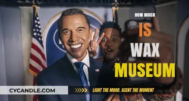 Exploring the Cost of Creativity: A Guide to Wax Museum Prices