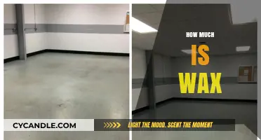 Exploring the Cost of Wax: A Comprehensive Guide