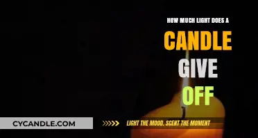 Candlelight Brightness: Measuring the Luminosity of a Single Flame