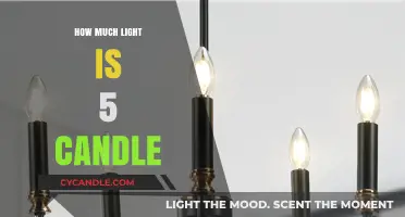 Shedding Light: Understanding the Brightness of 5 Candles in Lumens