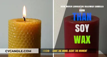 Beeswax vs. Soy Wax: Which Candle Burns Longer?