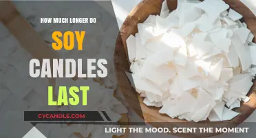 Soy Candles: Unveiling Their Longevity and Burn Time Secrets