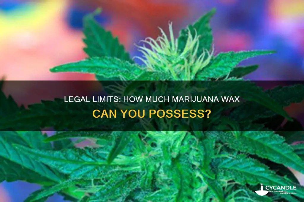 how much marijuana wax can you have at any time